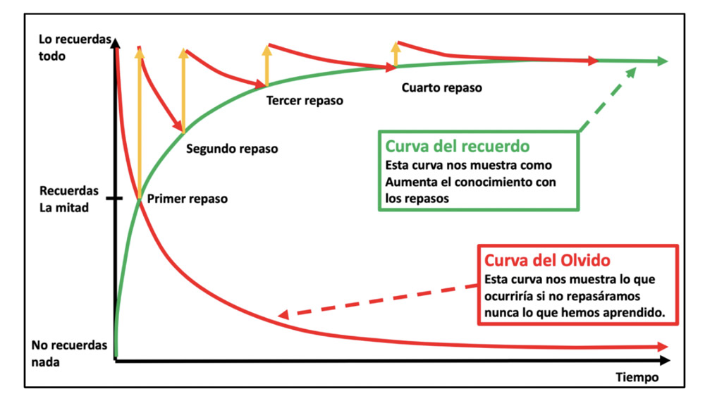 curva aprendizaje